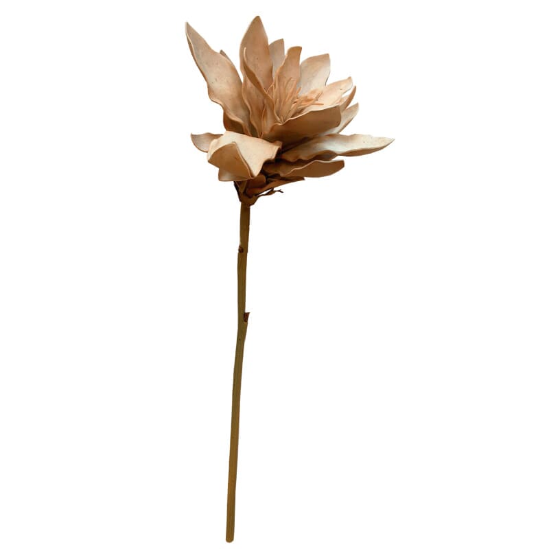 Cream flower