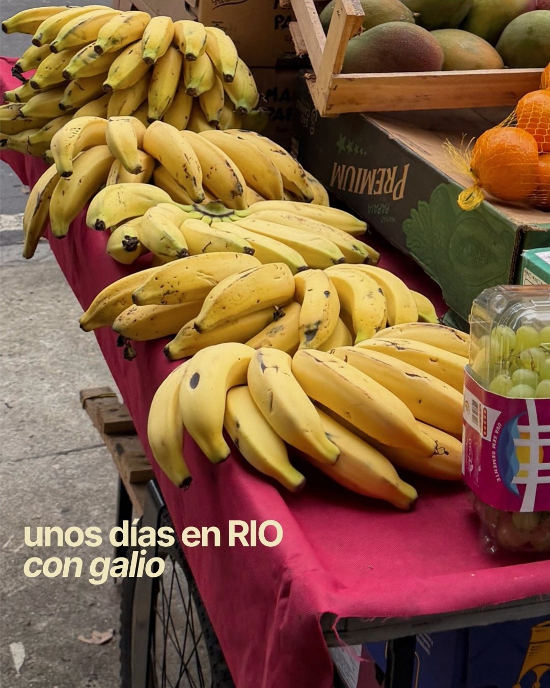 Imagen de posteo de Instagram