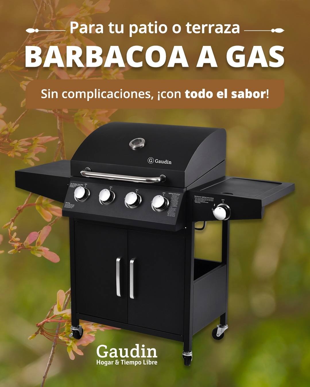 Imagen de posteo de Instagram