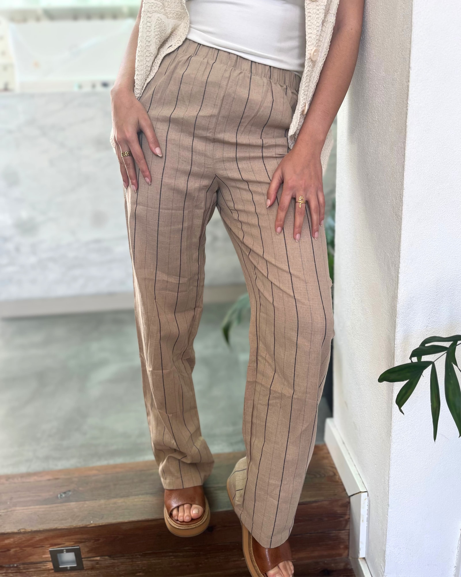 Panta Rayas