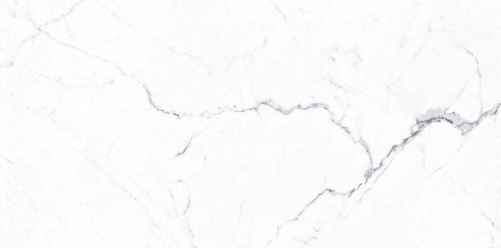FERIA/ PORCELANATO STATUARIO WHITE HONED 60X120