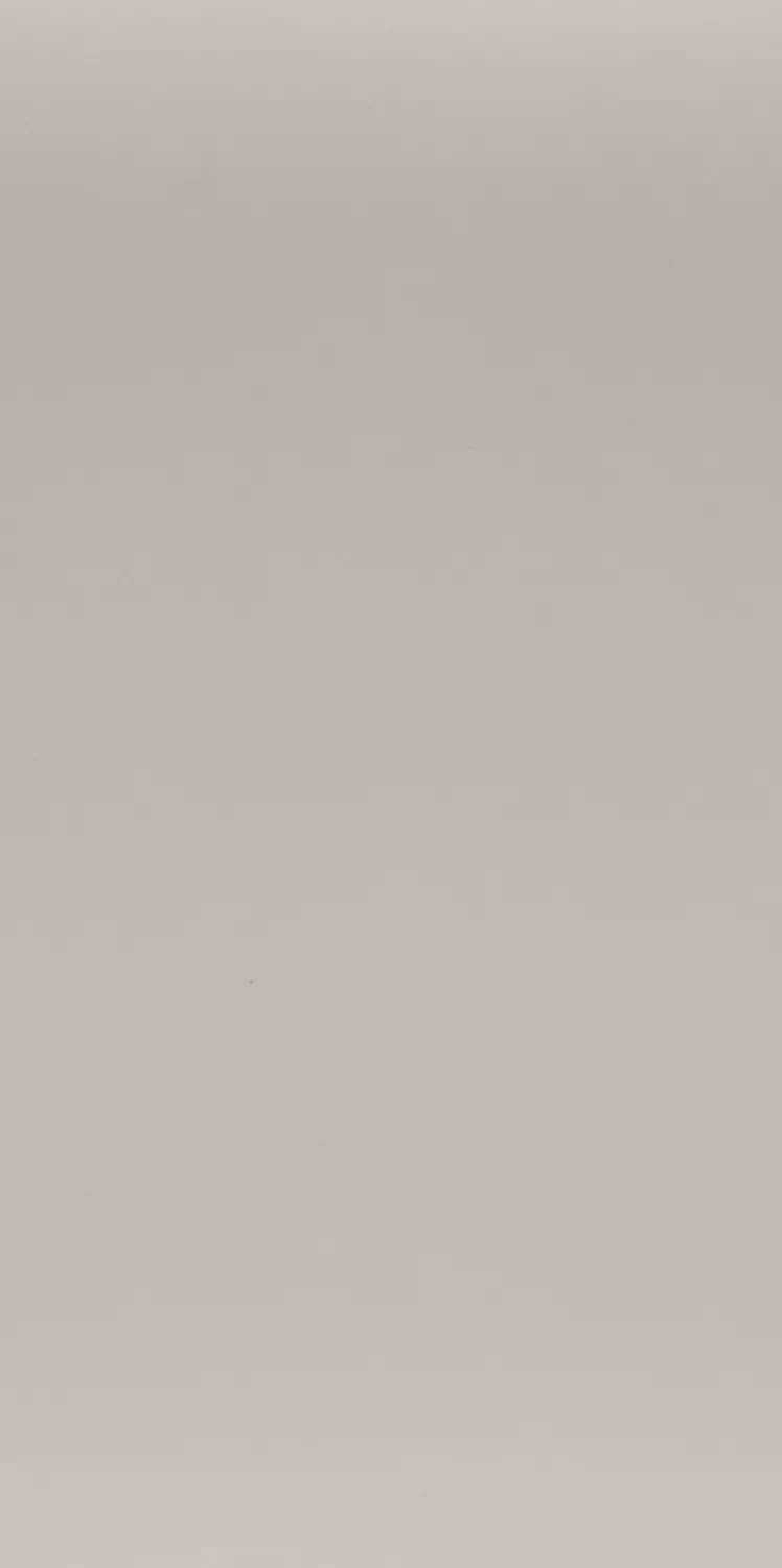 FERIA/PORCELANATO COLORS PEARL 60X120 NAT
