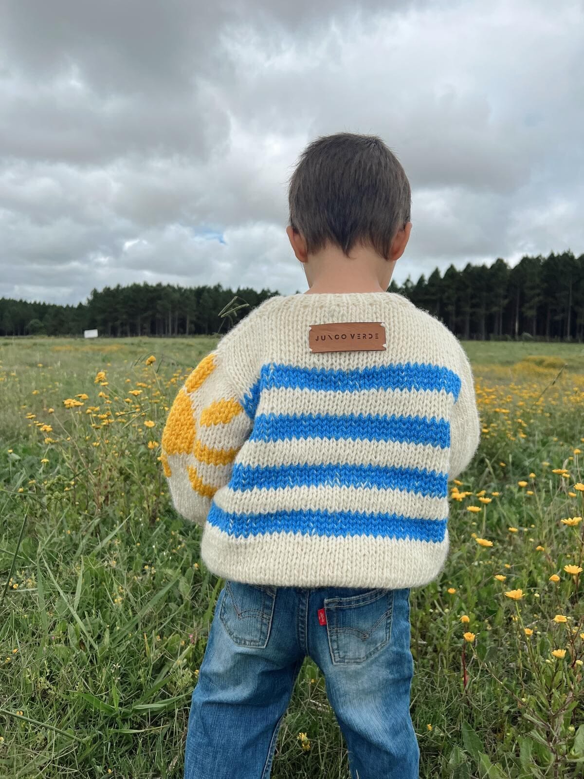 Sweater Uruguay