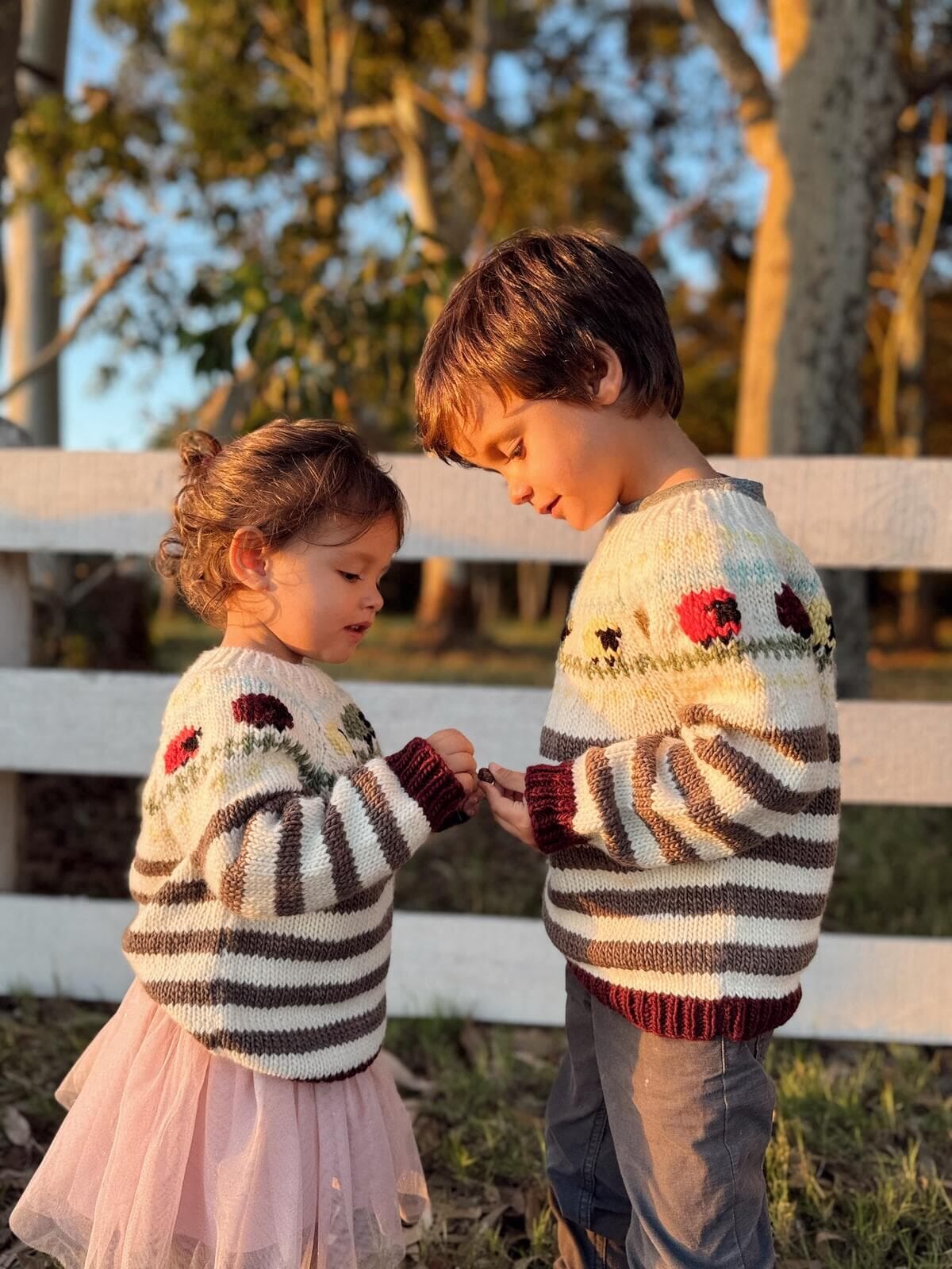 Sweater Bariloche Beeh