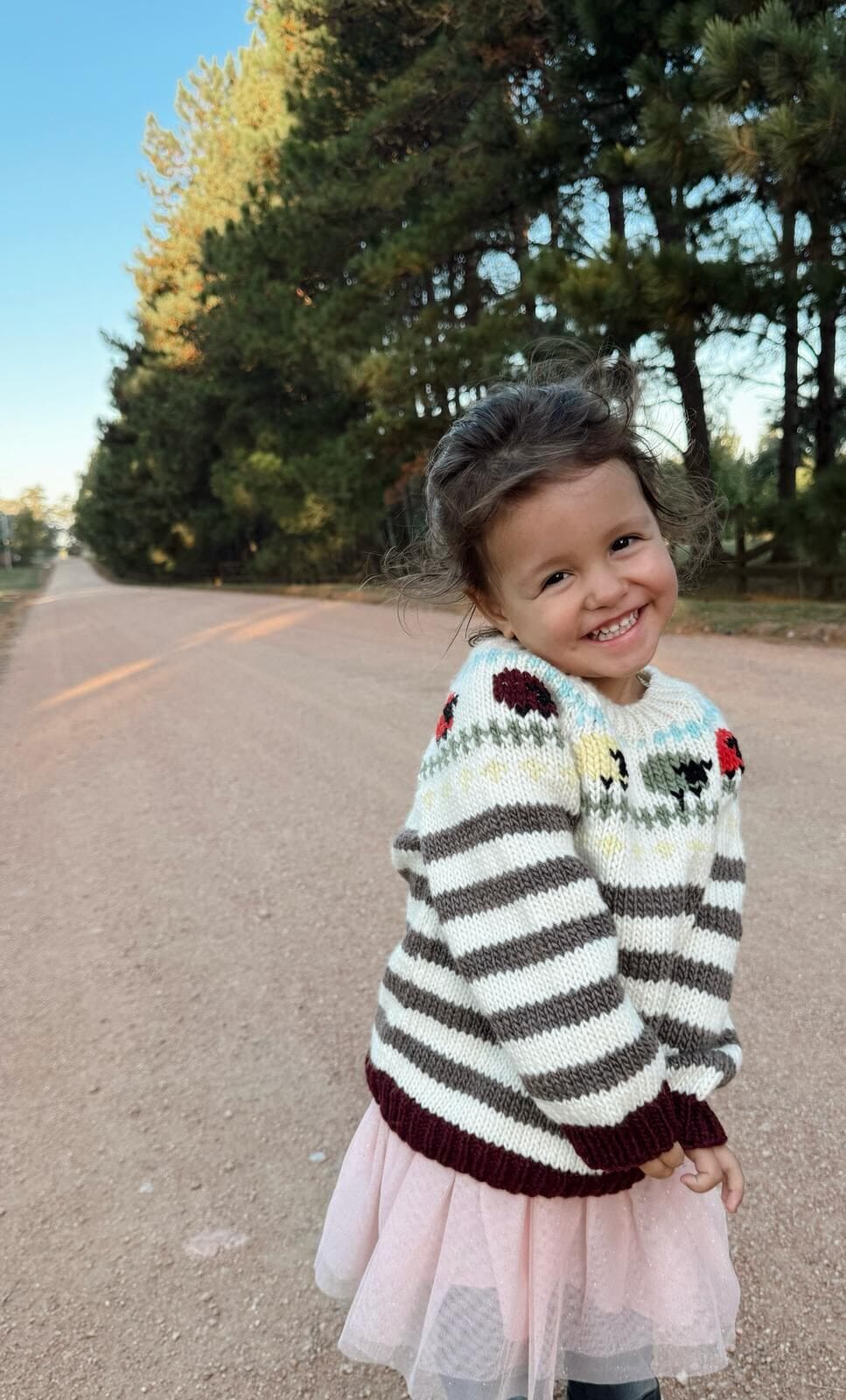 Sweater Bariloche Beeh