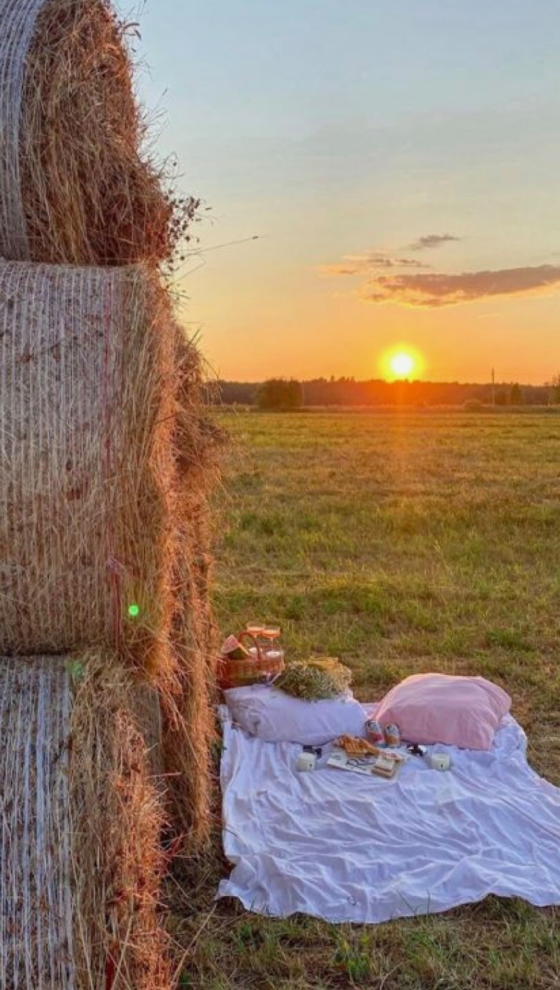 Imagen de posteo de Instagram