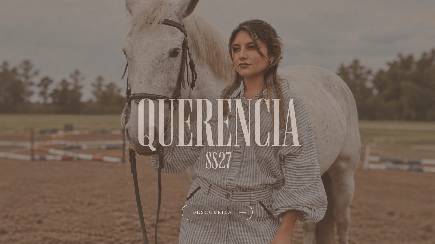 nueva coleccion 