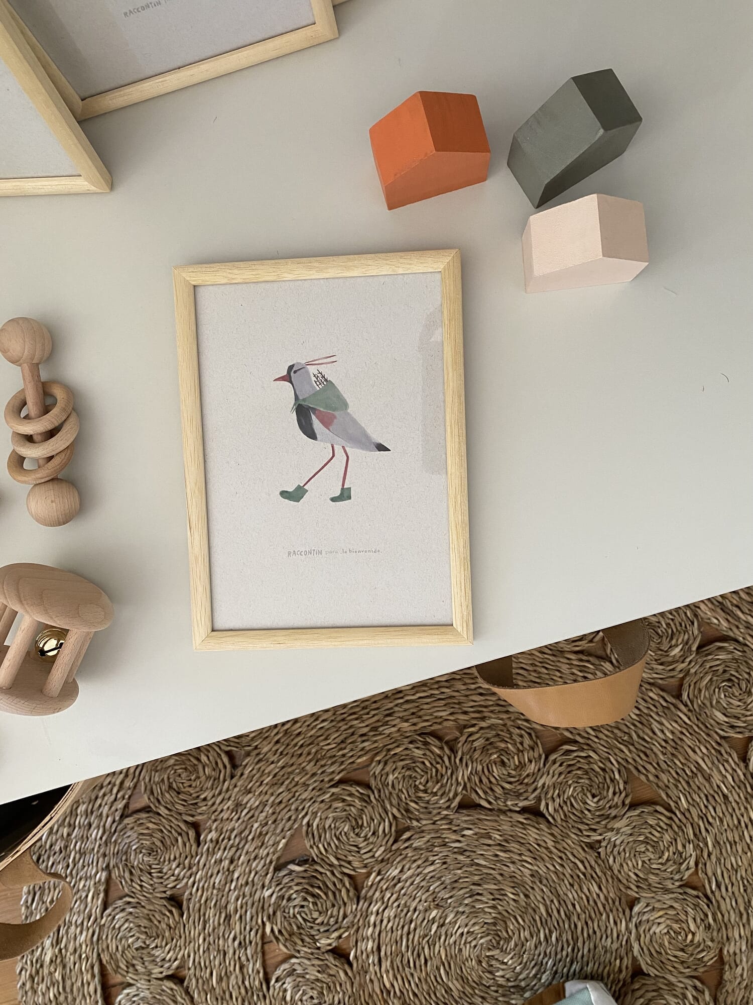 Cuadros decorativos línea ´Fauna´