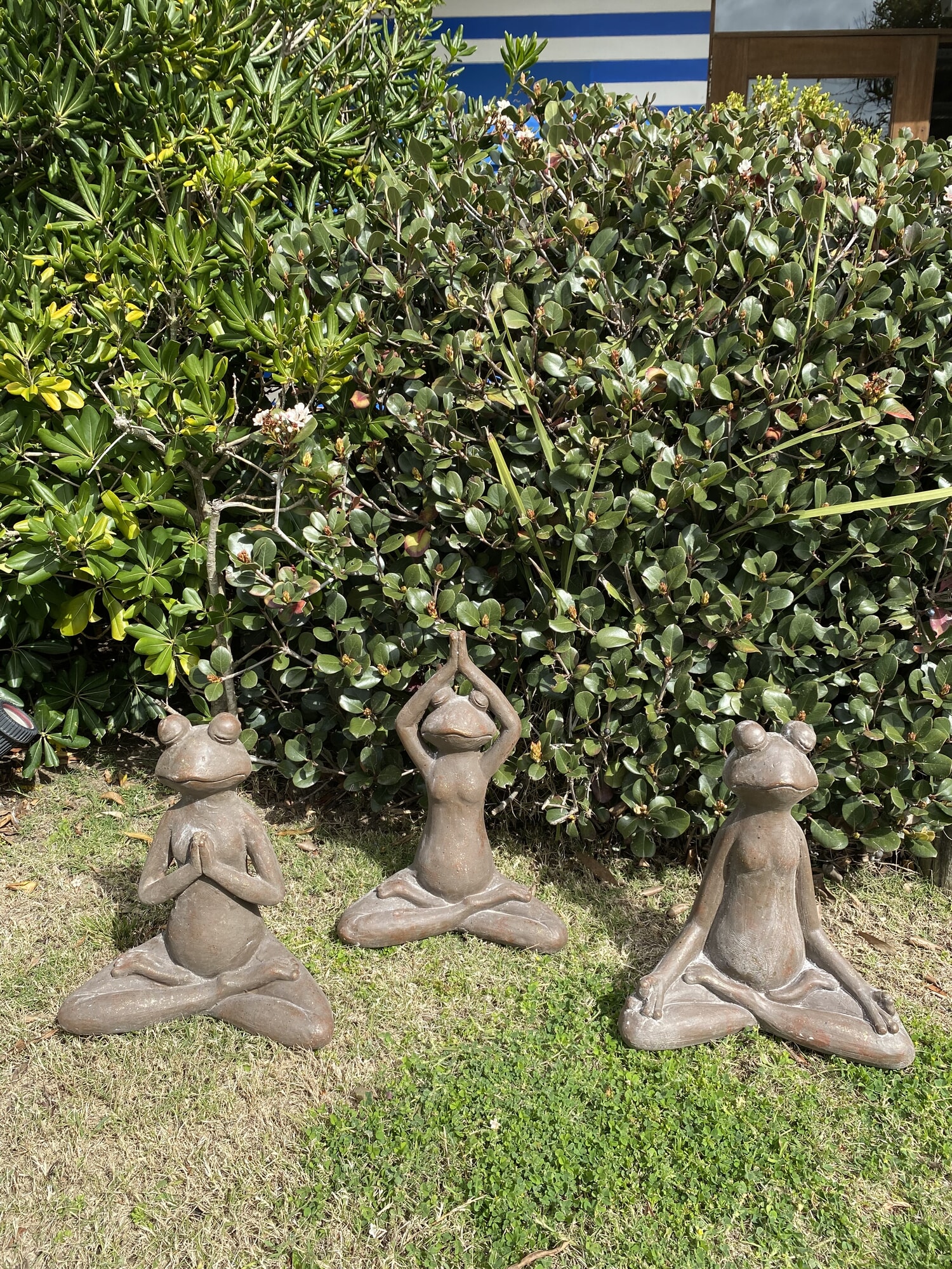 Ranas yoga