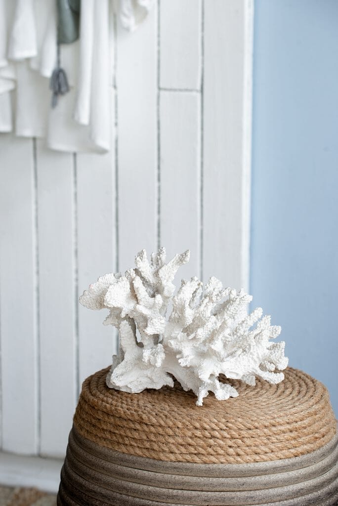 Coral Blanco Grande