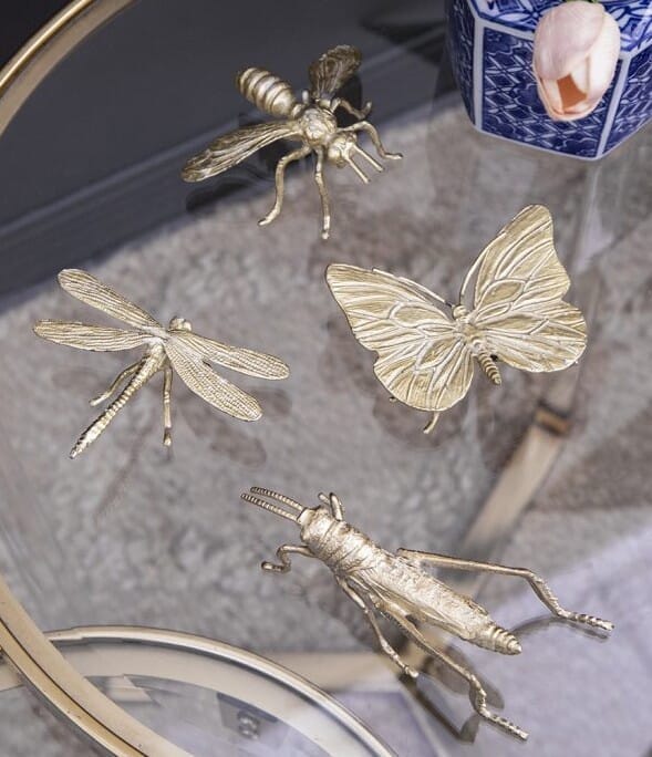 Insectos
