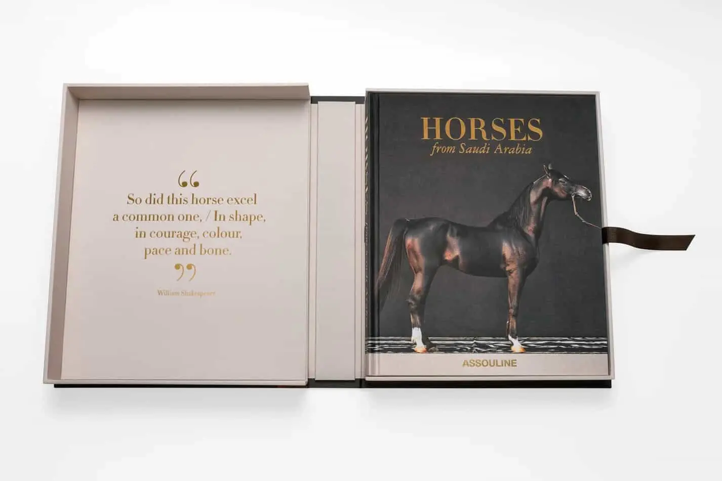 Horses from Saudi Arabia