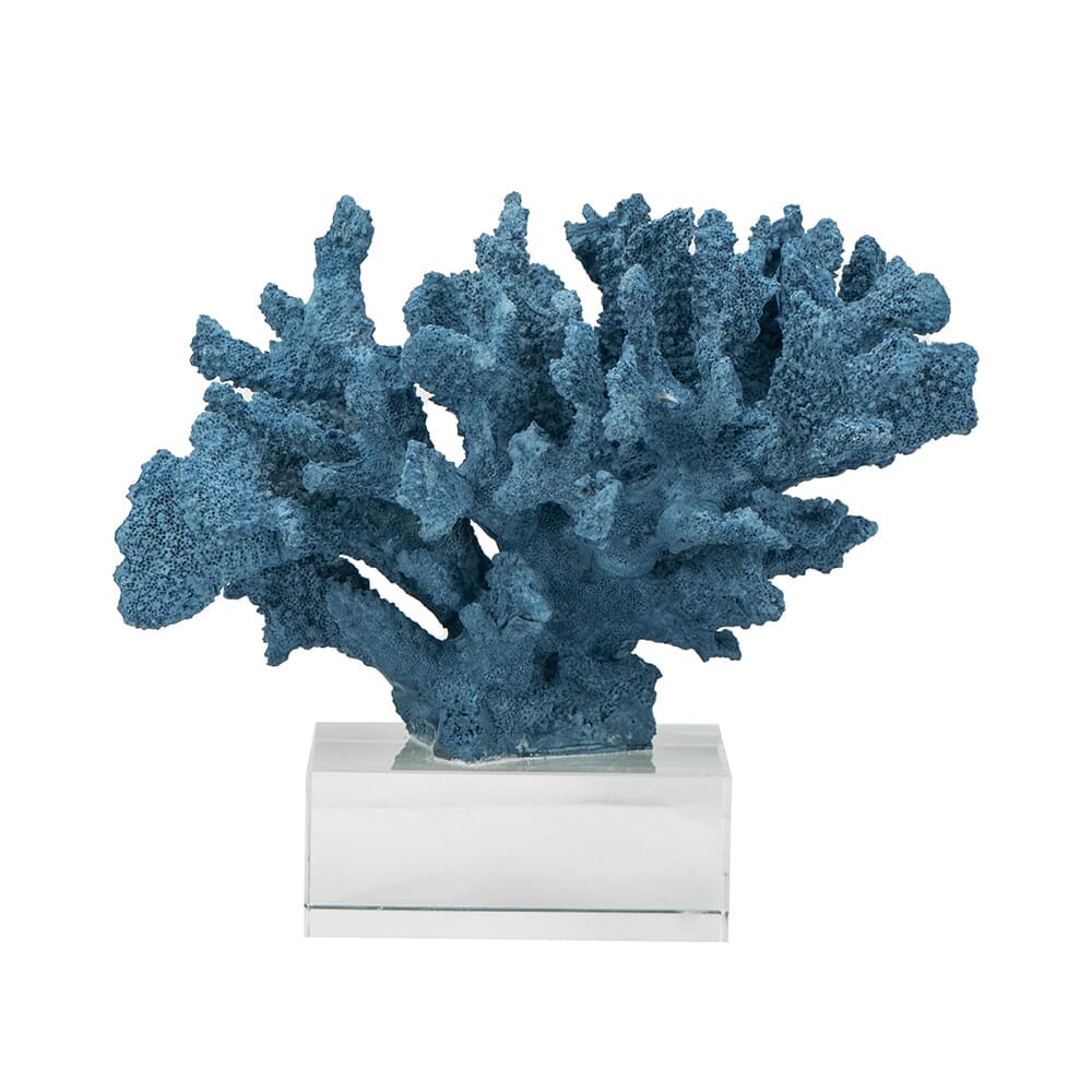 Coral Azul con Base