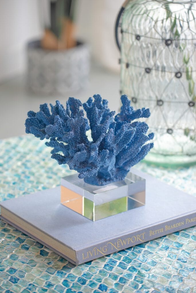 Coral Azul con Base