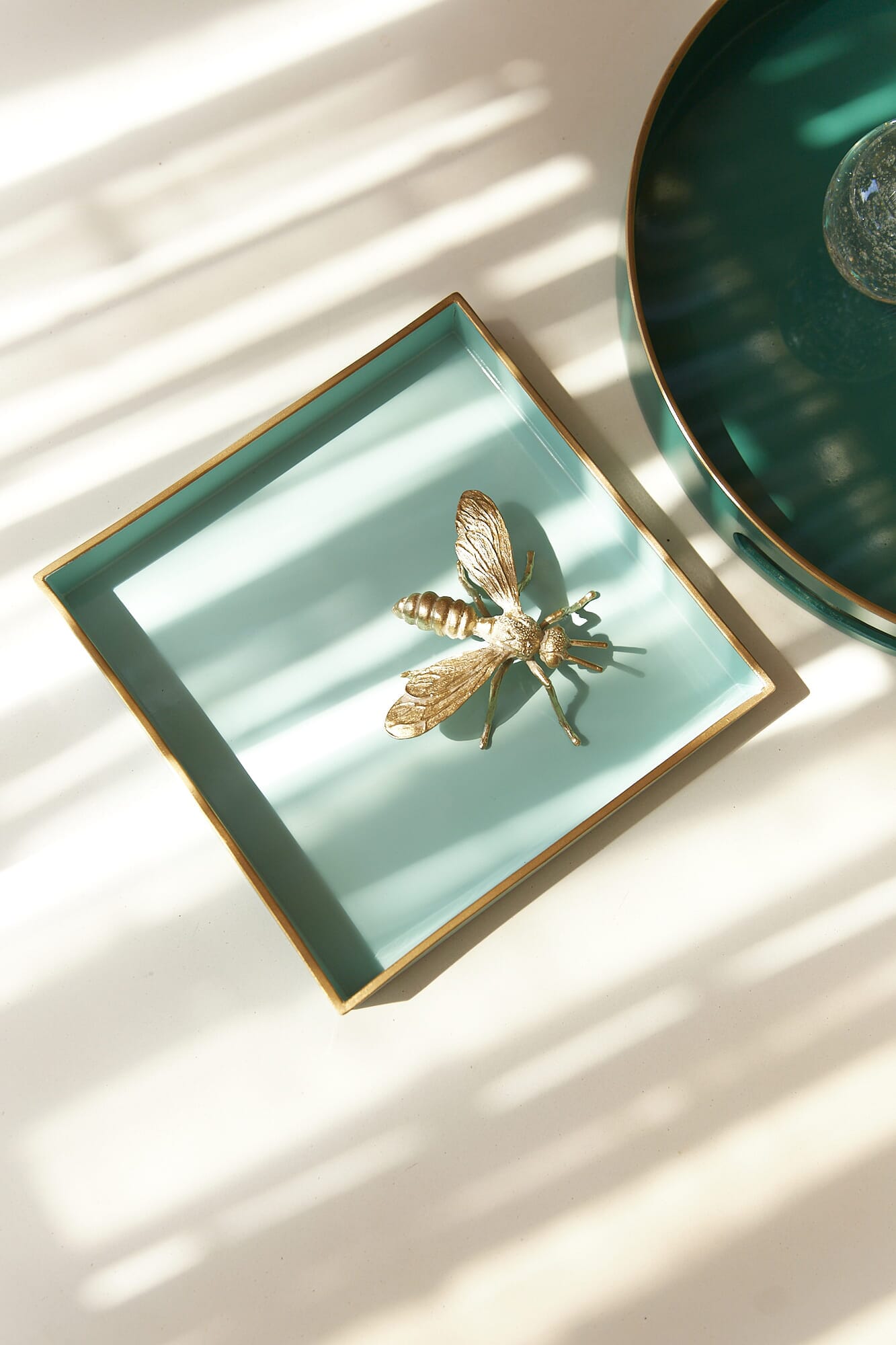 Insectos