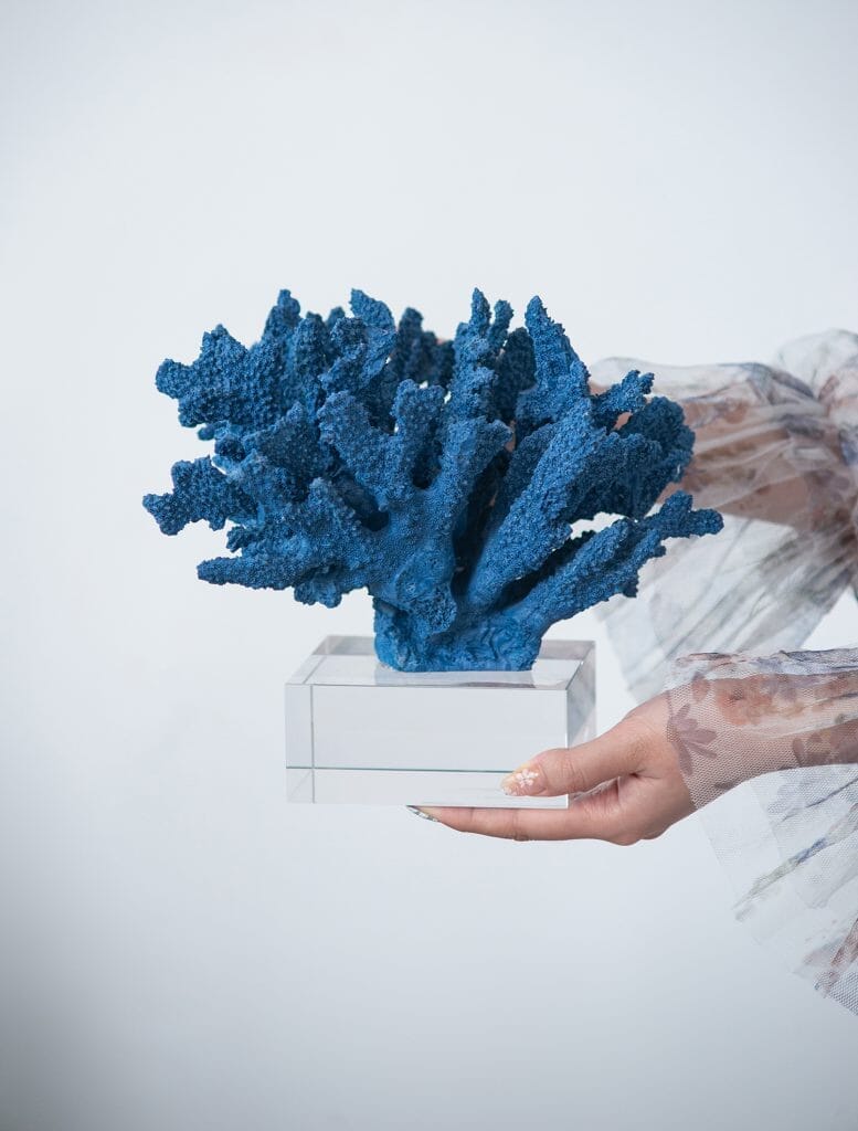 Coral Azul con Base