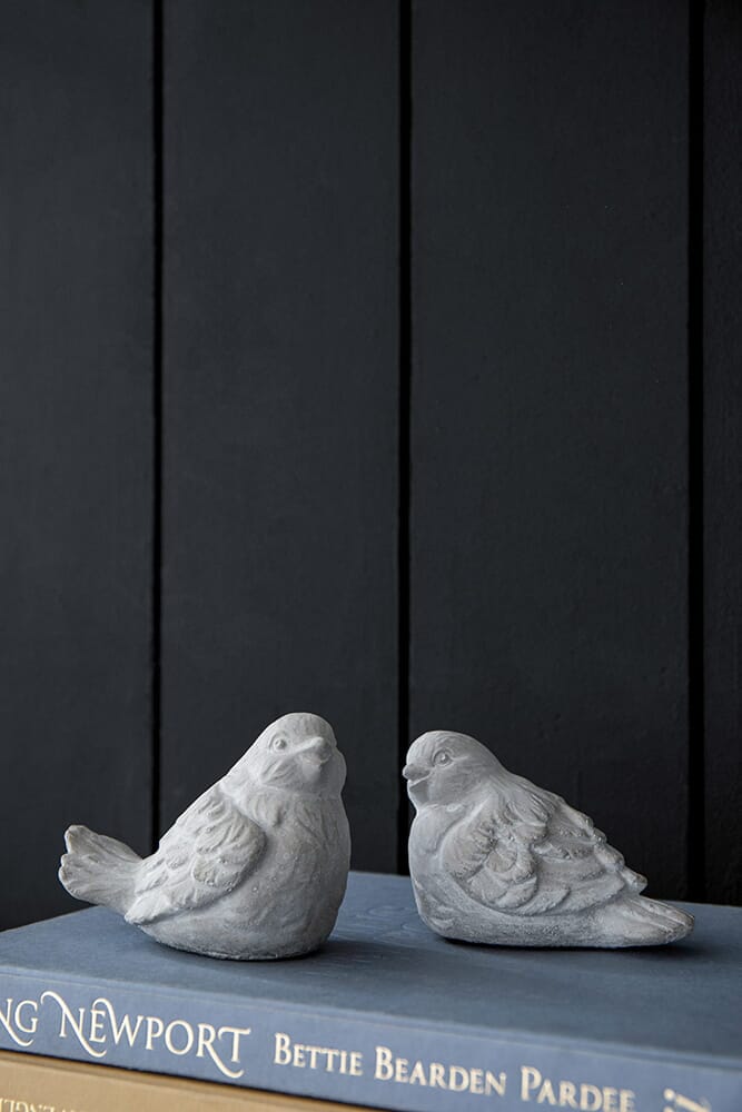 Set de Palomas