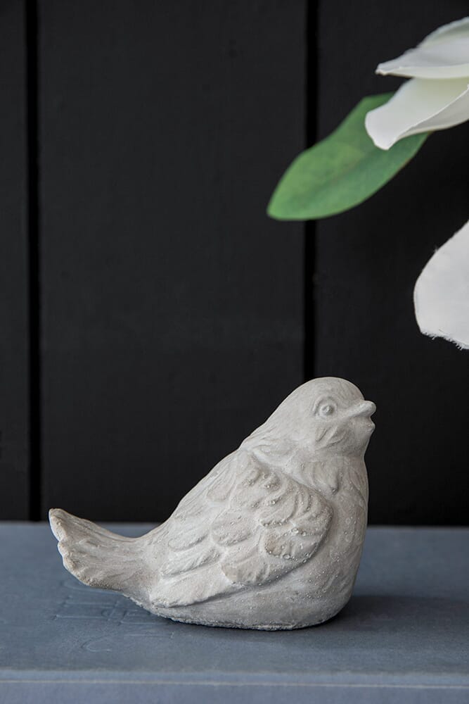 Set de Palomas