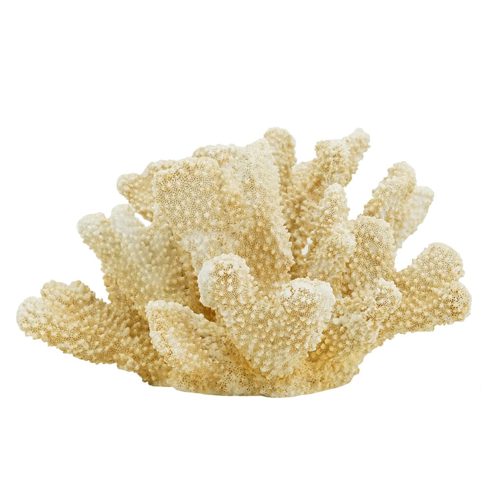 Coral Caramel