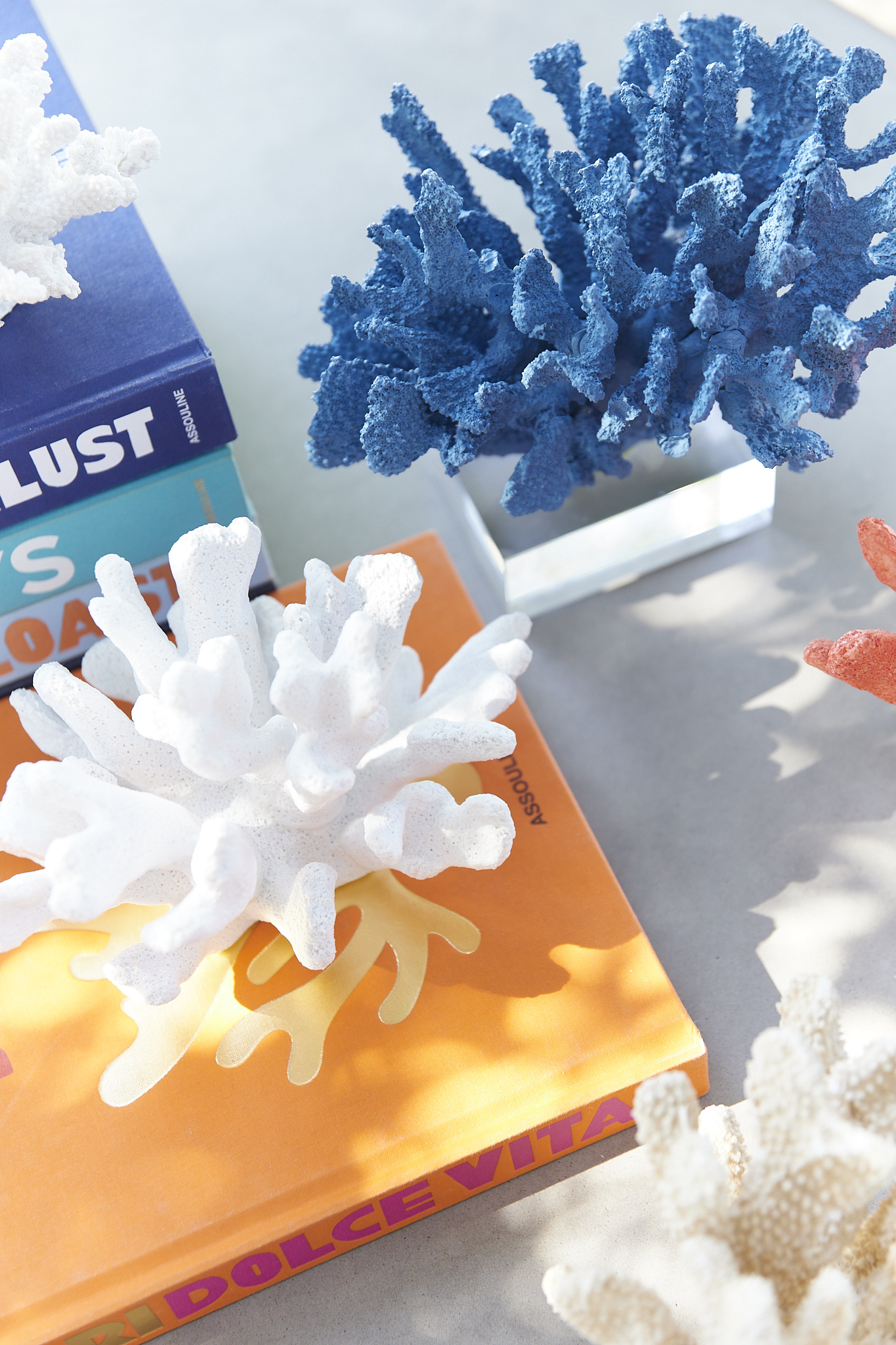 Coral Azul con Base