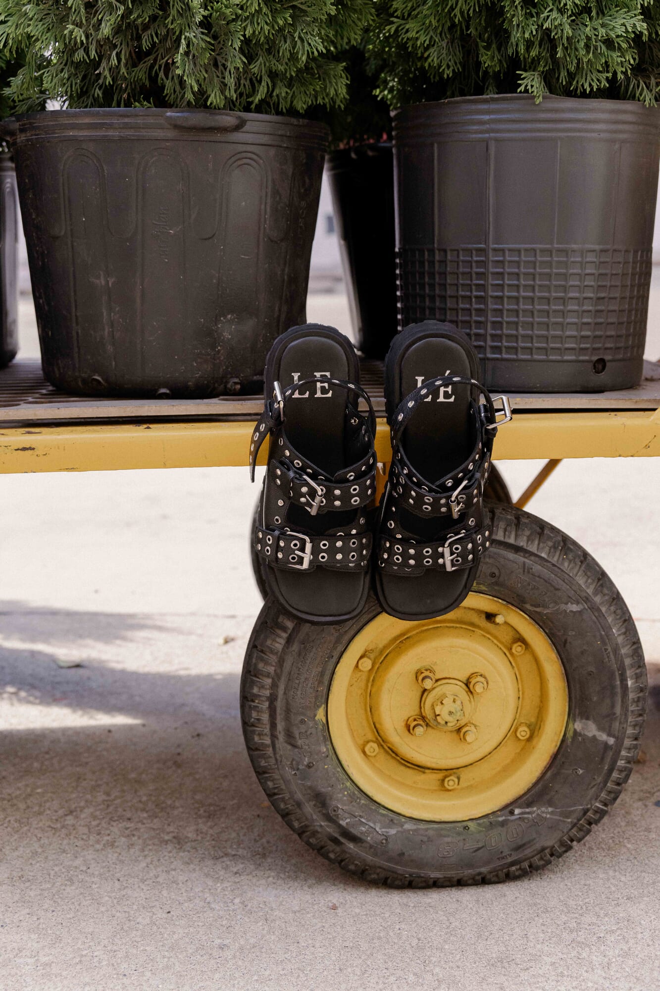 Elva