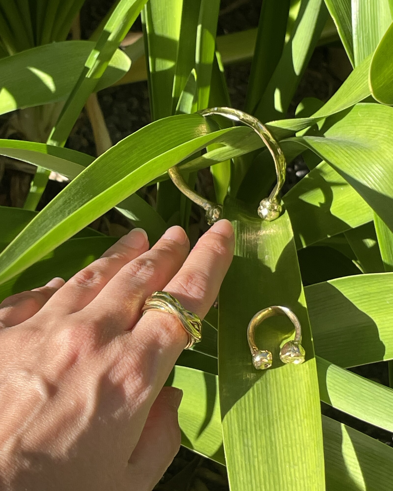 ANILLO RAICES