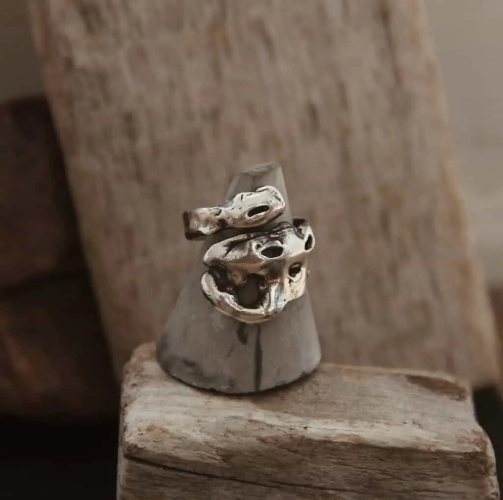 ANILLO CRUSTACEO