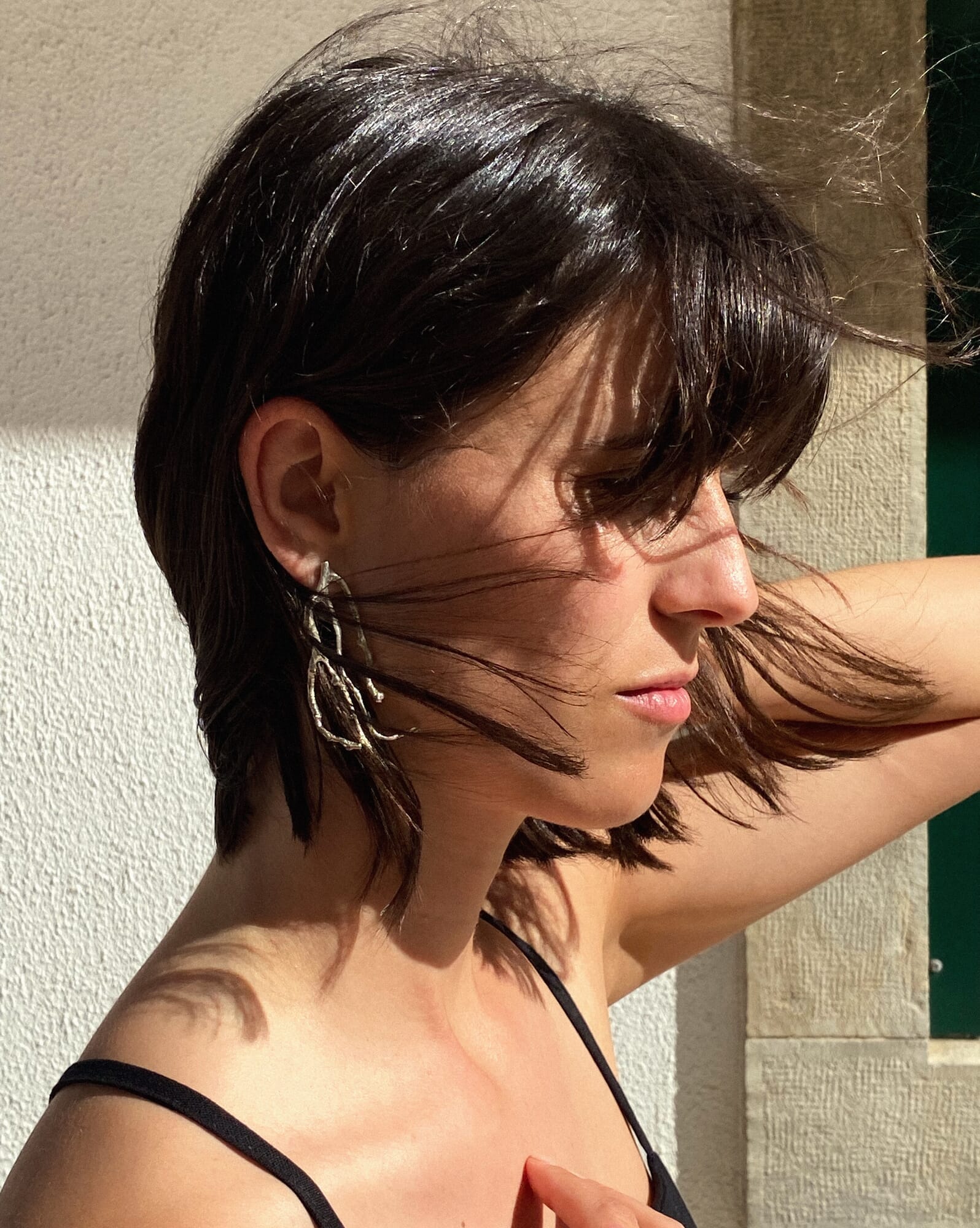 AROS RAIZ
