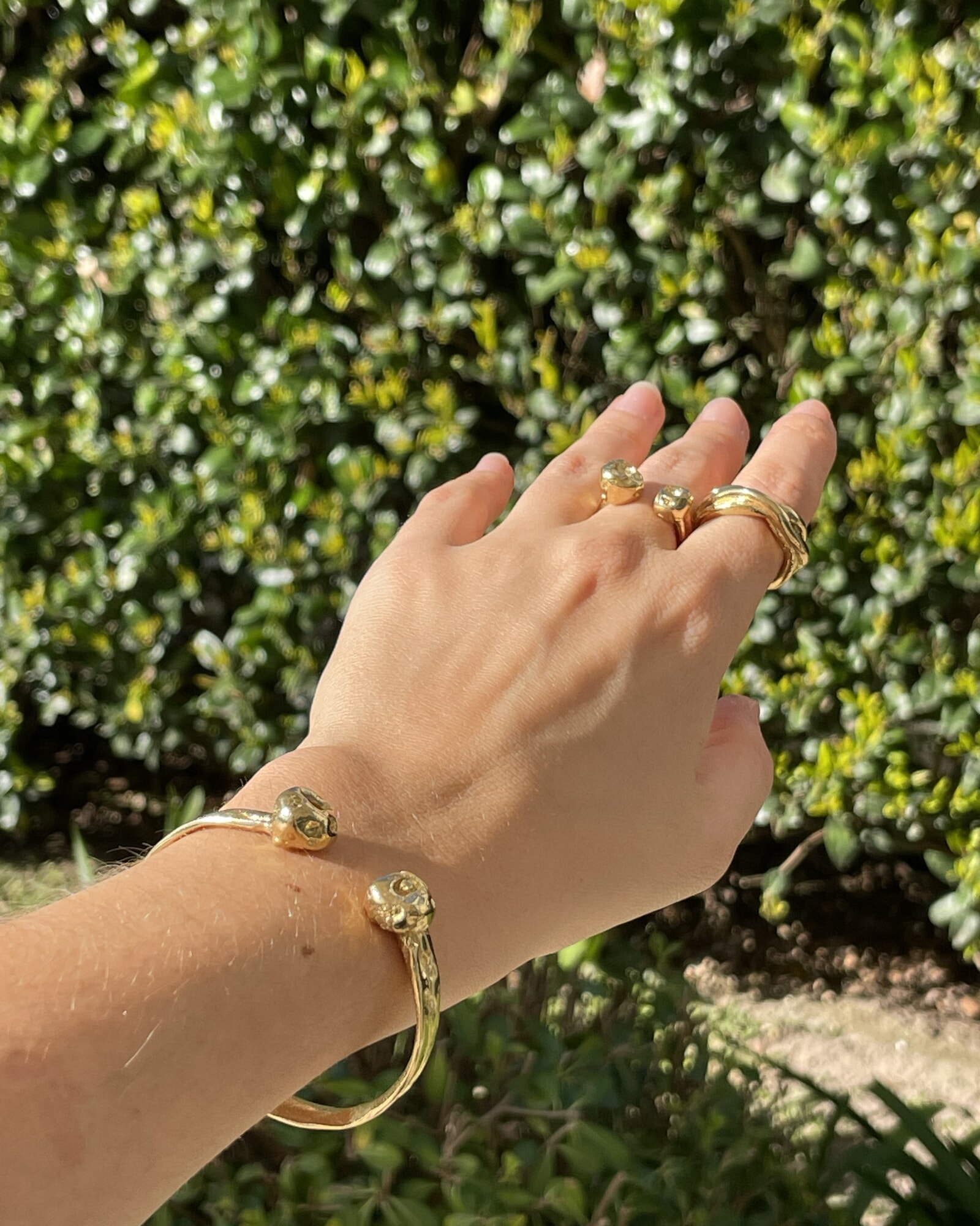 ANILLO RAICES