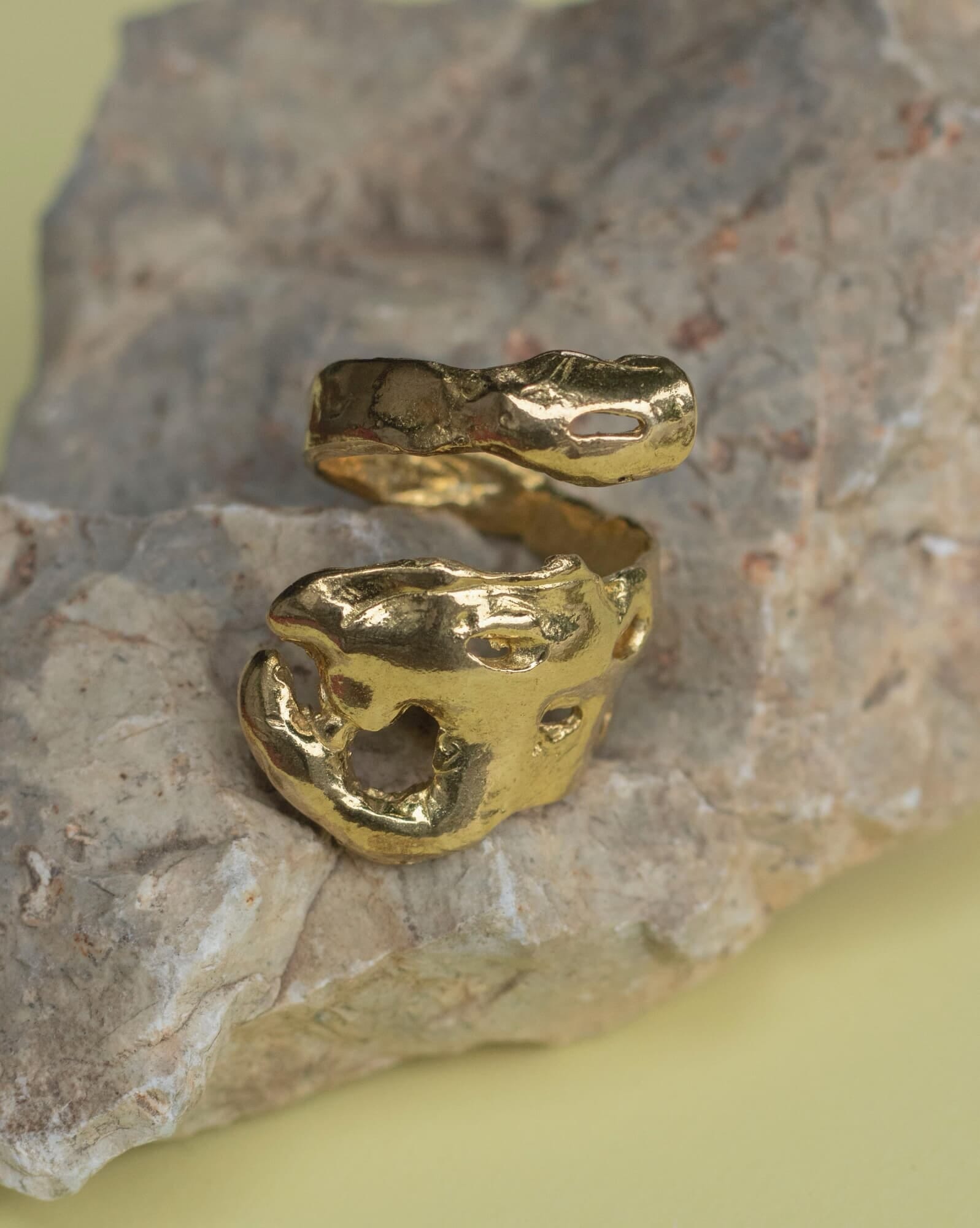 ANILLO CRUSTACEO