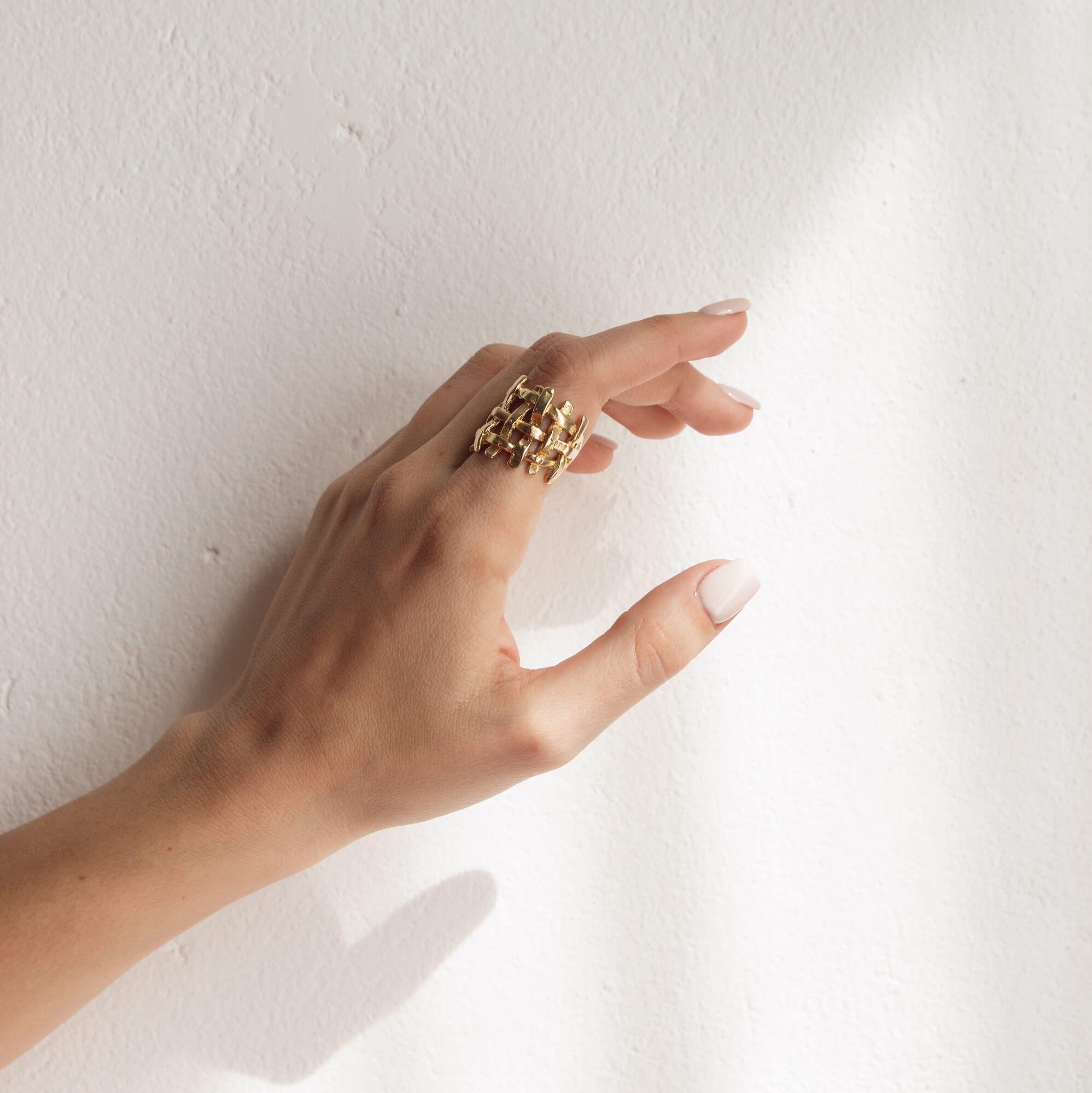 ANILLO CERCO
