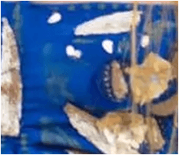 Suria Azul y Bordado Dorado