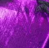 Mandi Uva y Tul Negro Bordado Con Cuentas