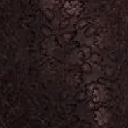 Tul Encaje Flores Marron