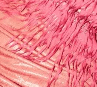 Intervenido Rosa