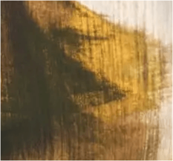 Mandi Oro Negro