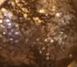 Encaje Marrón y Lentejuelas Rose Gold