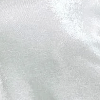 Moli Blanco Plata