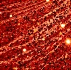 Terciopelo Lentejuelas Lacre