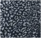 Jersey Animal Print Blanco y Negro
