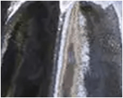 Moli Negro Plata