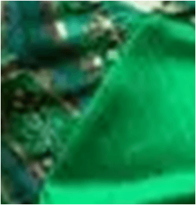 Mandi Verde y Bordado India Verde