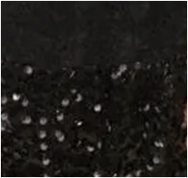 Tul Encaje Flores Negro y Lentejuelas Negro y Canutillos Negro