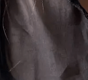 Organza Negro