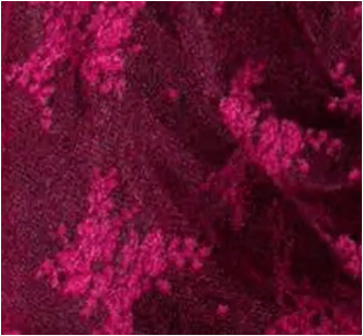 Encaje Bordo