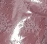 Encaje Rosa y Muro Rojo Plata
