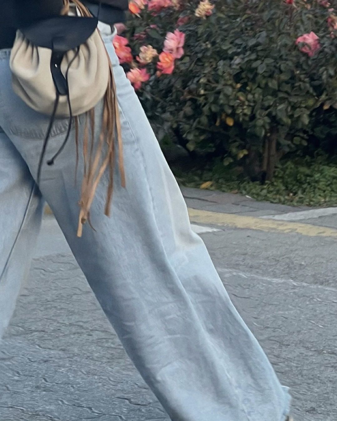 Carterita Mapuche
