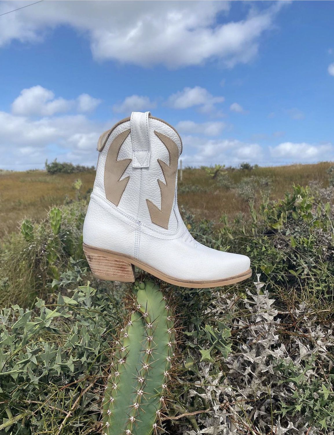 BOTA WEST