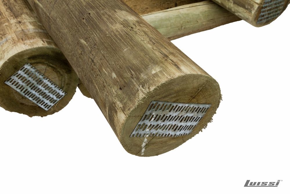 Poste de Eucaliptus  CCA 4.50 m de 19 a 22 cm Ø