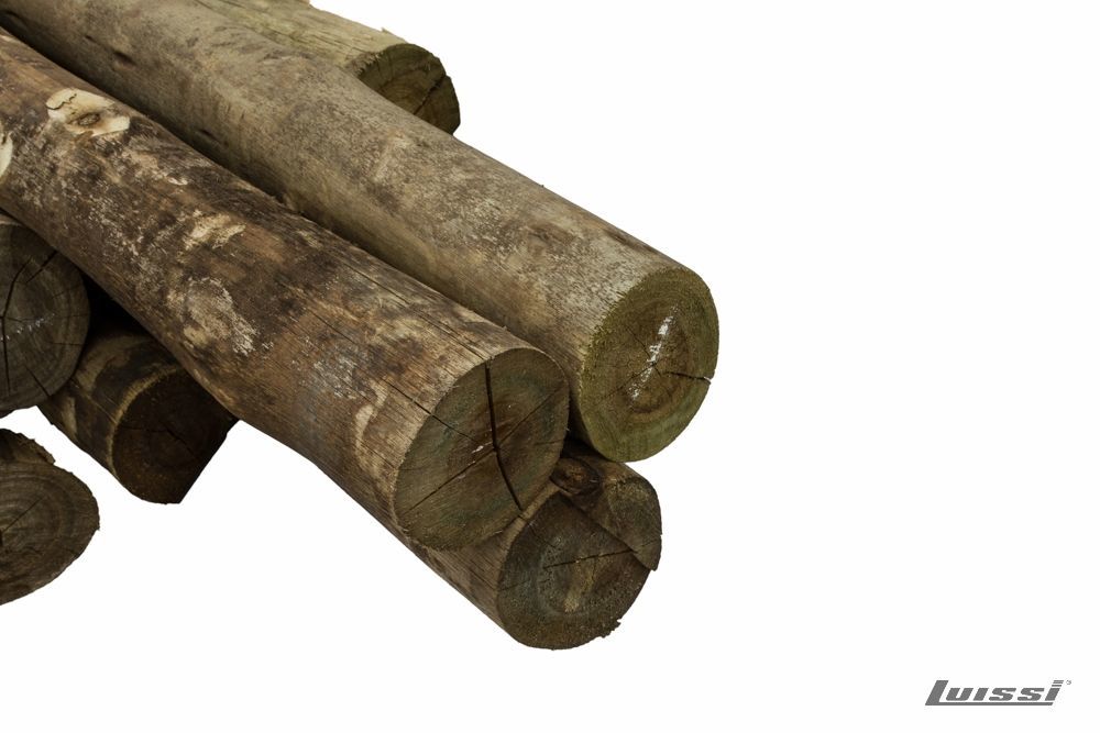 Poste de Eucaliptus CCA 4.50 m de 15 a 18 cm Ø